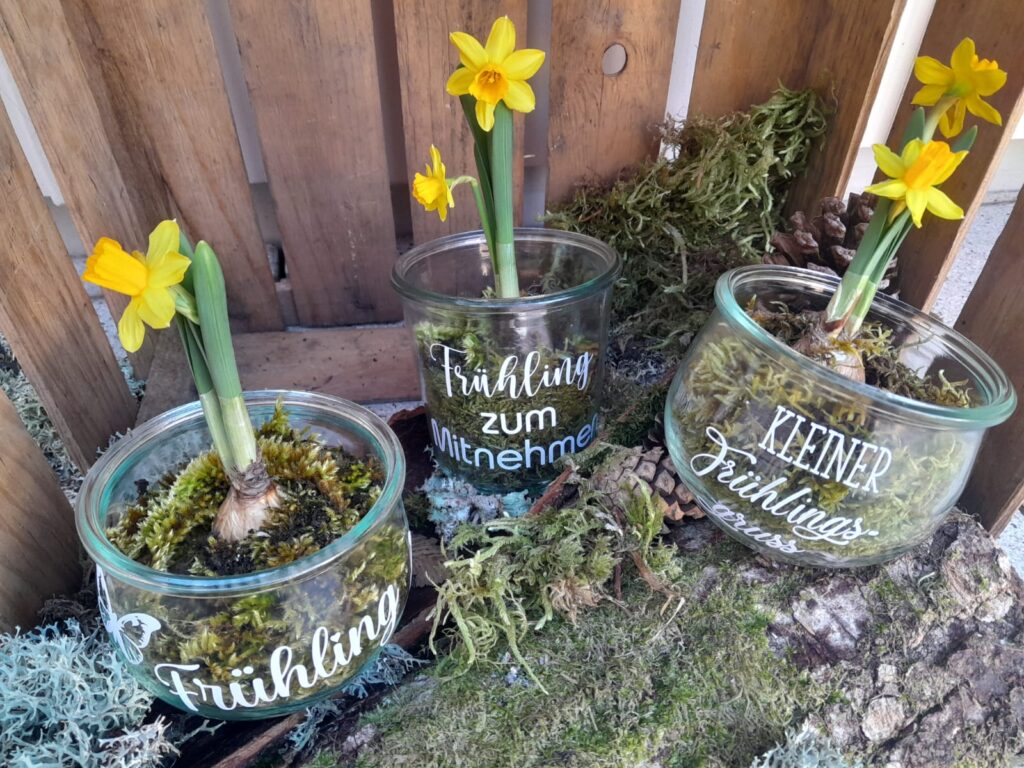 Frühling im Glas